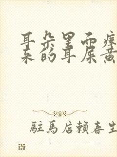 耳朵里面痒掏出来的耳屎黄粘稠