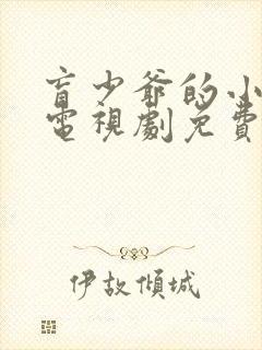 盲少爷的小女仆电视剧免费观看