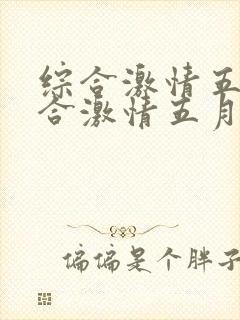 综合激情五月综合激情五月激情1封面