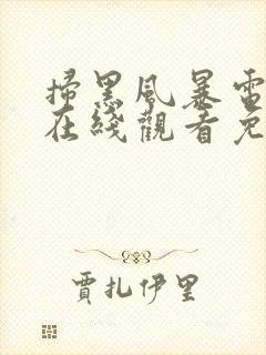 扫黑风暴电视剧在线观看免费完整版封面