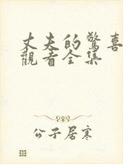 丈夫的惊喜免费观看全集封面