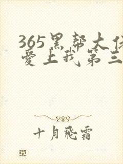 365黑帮大佬爱上我第三部剧