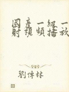 国产一级一片内射视频播放