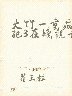 大竹一重痴汉日记3在线观看封面