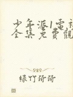 少年派1电视剧全集免费观看超清