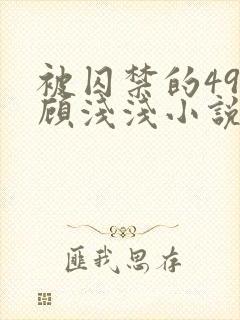 被囚禁的49天顾浅浅小说封面