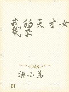 我的天才女友有几季