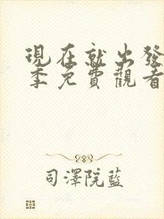 现在就出发第5季免费观看完整版高清无卡顿封面