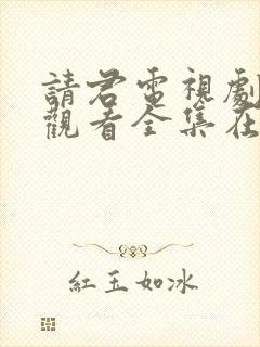 请君电视剧免费观看全集在线播放