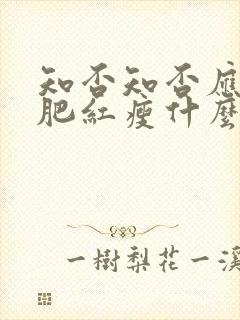 知否知否应是绿肥红瘦什么季节封面