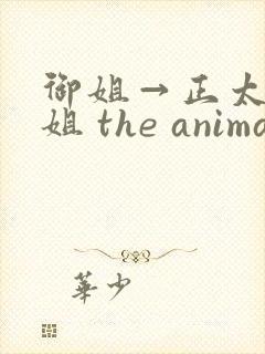 御姐→正太←御姐 the animation》封面