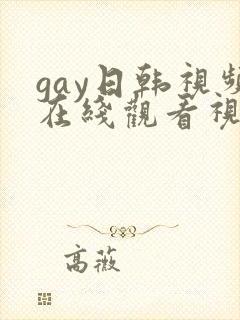 gay日韩视频在线观看视频