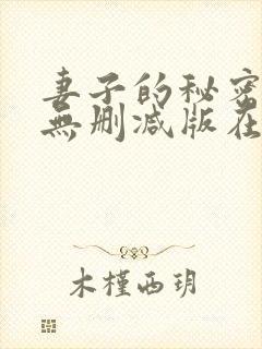 妻子的秘密日剧无删减版在线观看