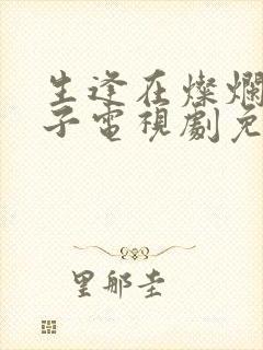 生逢在灿烂的日子电视剧免费