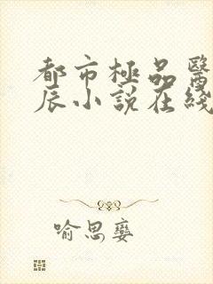 都市极品医神叶辰小说在线阅读