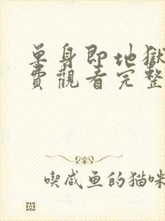 单身即地狱3免费观看完整版高清韩剧