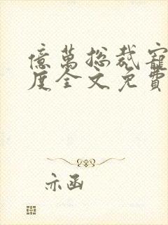 亿万总裁宠妻无度全文免费阅读