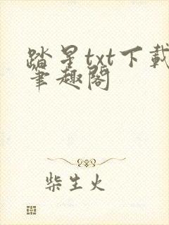 踏星txt下载笔趣阁封面