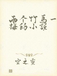 两个竹马一个青梅的小说