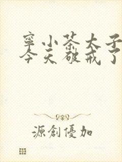 宁小茶太子殿下今天破戒了吗免费阅读