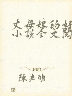 丈母娘的好女婿小说全文阅读封面