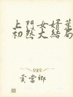 上门女婿叶辰萧初然大结局封面