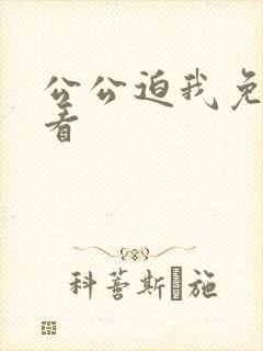 公公迫我免费观看封面