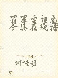 罚罪电视剧免费全集在线播放