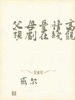 父母爱情高清电视剧在线观看