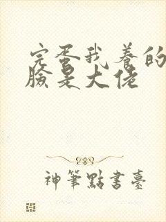 完蛋我养的小白脸是大佬