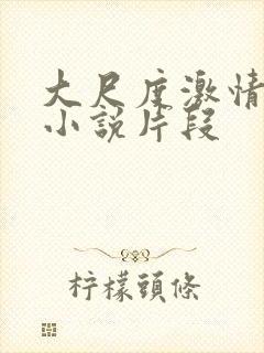 大尺度激情床戏小说片段