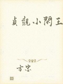 贞观小闲王小说