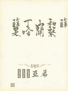 薛丁山和薛仁贵是啥关系