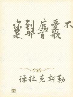 你到底爱不爱我是哪首歌封面