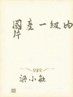 国产一级内射一片封面