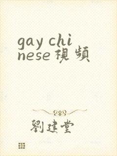 gay chinese视频