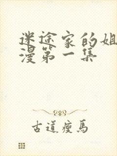 迷途家的姐姐动漫第一集