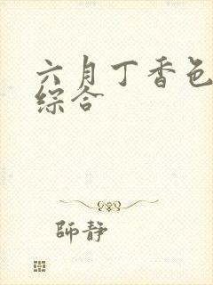 六月丁香色婷婷综合