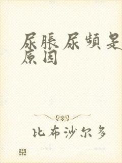 尿胀尿频是什么原因封面