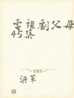 电视剧父母爱情45集