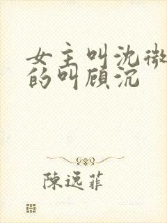 女主叫沈微,男的叫顾沉