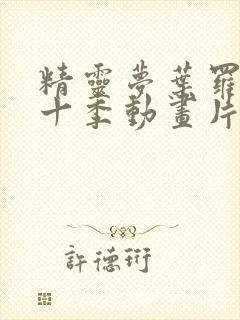 精灵梦叶罗丽第十季动画片