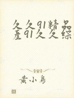 久久91精品国产91久久综合