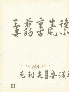 王爷重生后爱男妻的古风小说