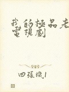 我的极品老妈 电视剧