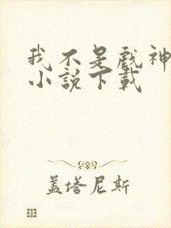 我不是戏神有声小说下载