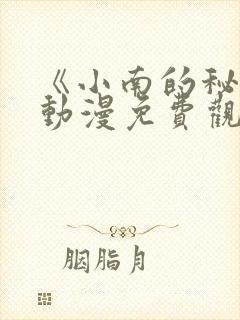 《小南的秘密》动漫免费观看全集