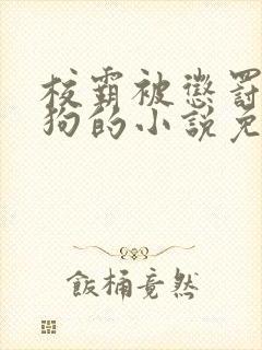 校霸被惩罚当小狗的小说免费阅读