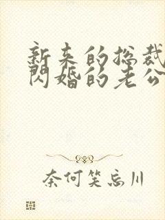 新来的总裁竟是闪婚的老公短剧封面