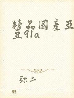 精品国产亚洲麻豆91a